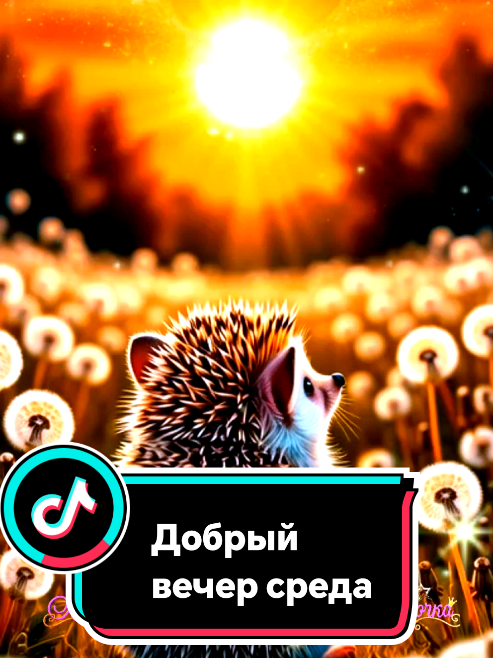 @꧁༺ 𝓛𝓮𝓷𝓸𝓬𝓱𝓴𝓪 ༻꧂