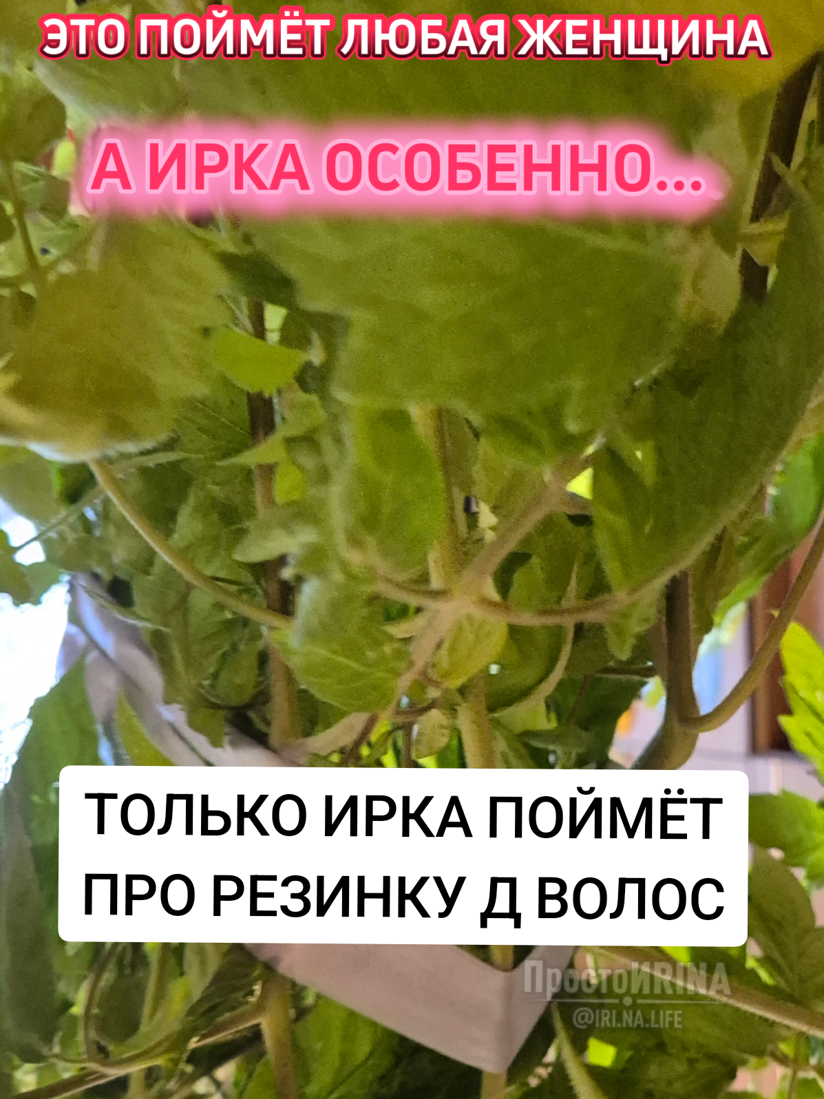 @ПростоИRINA