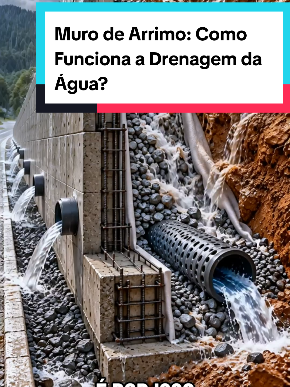 @Mundo da Curiosidades