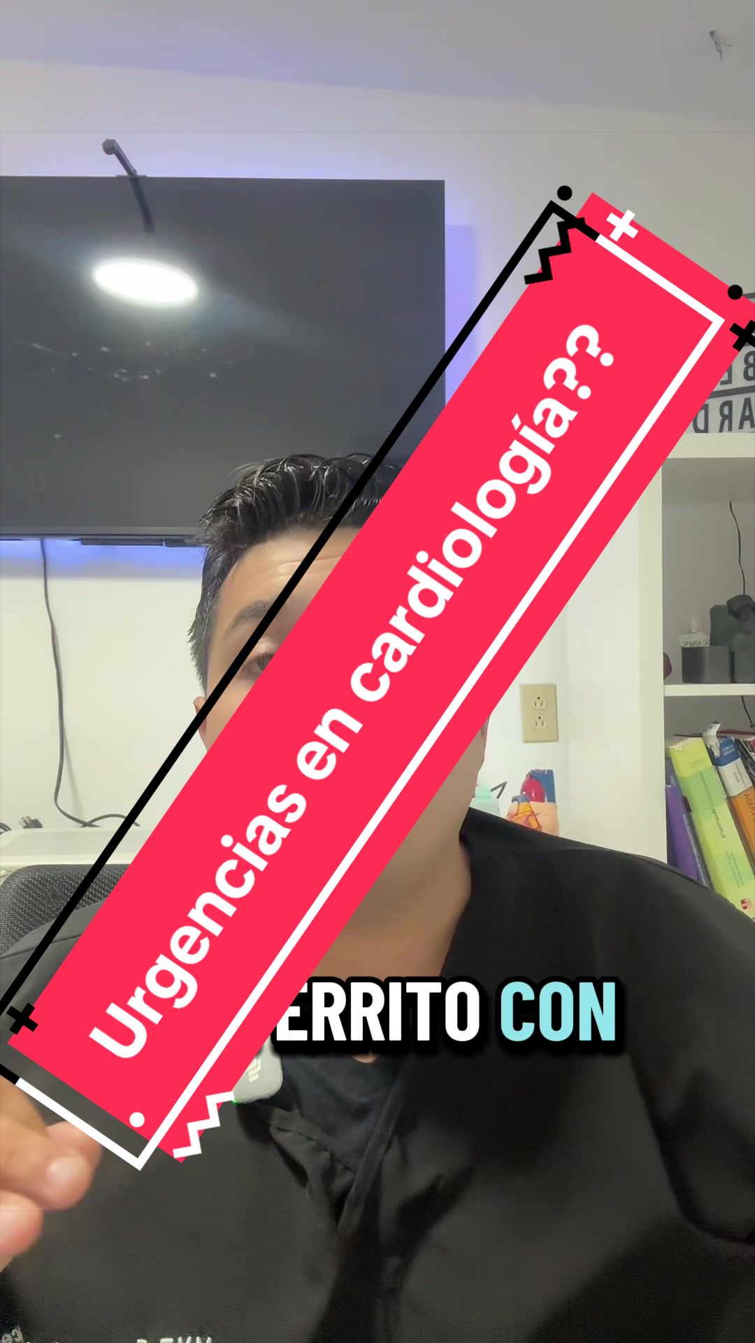 @mvzcardiovetsantelices
