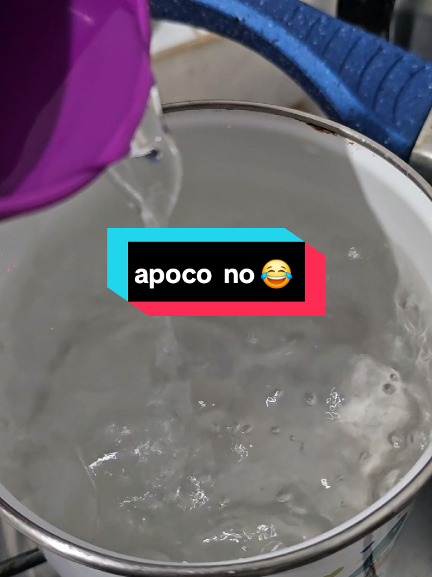 @eLchapaGT