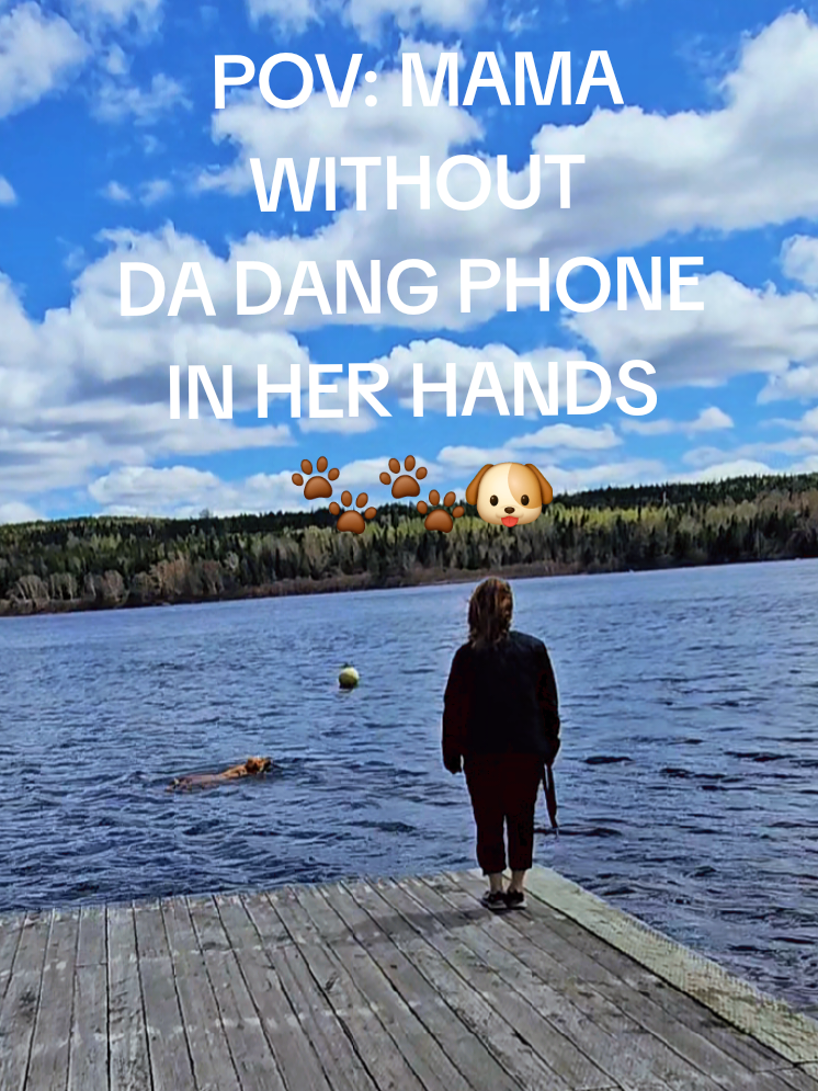 @Dogmom