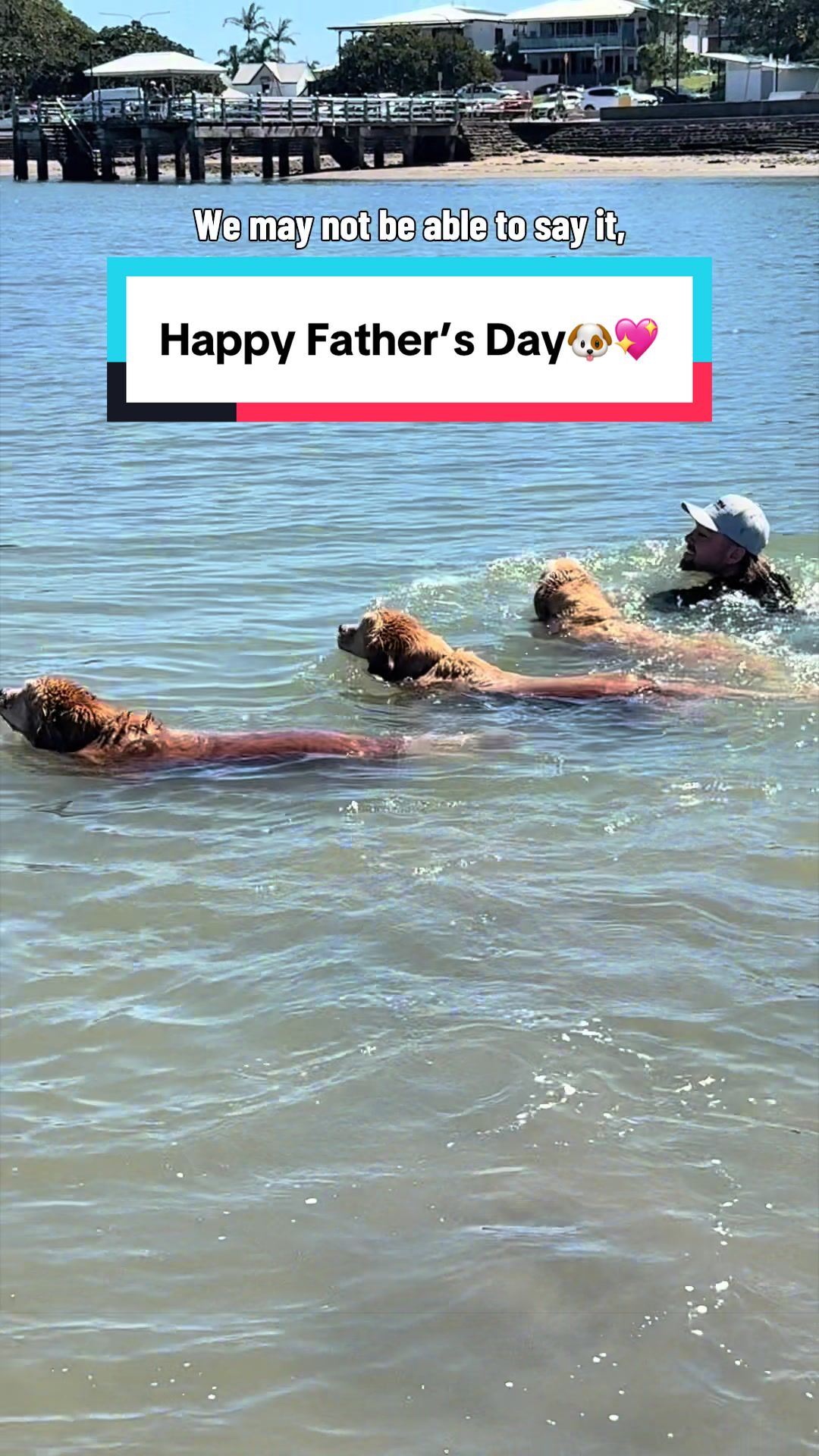 @3goldenretriever