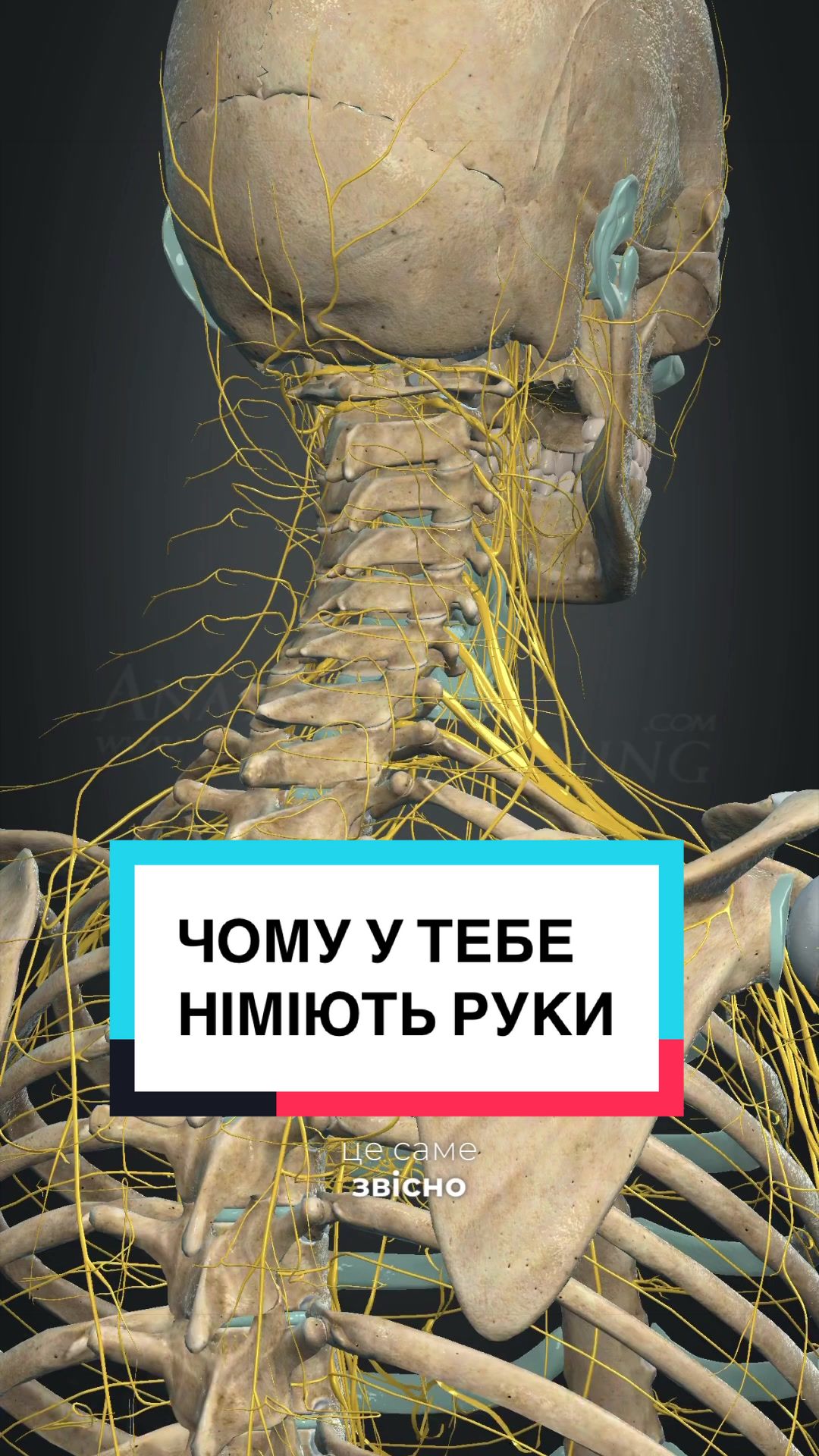 @B I K M A E V