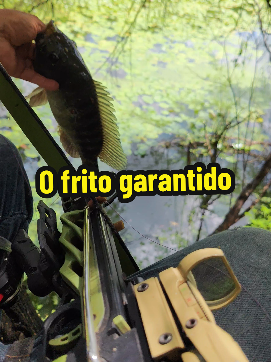 @Joildo Araujo