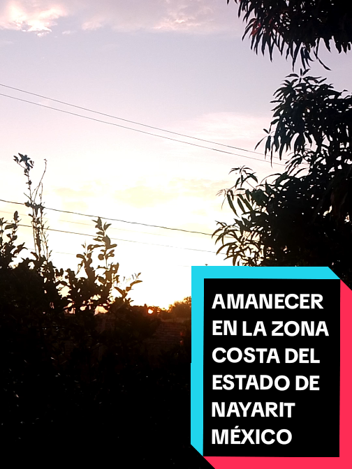 @Eliseo López