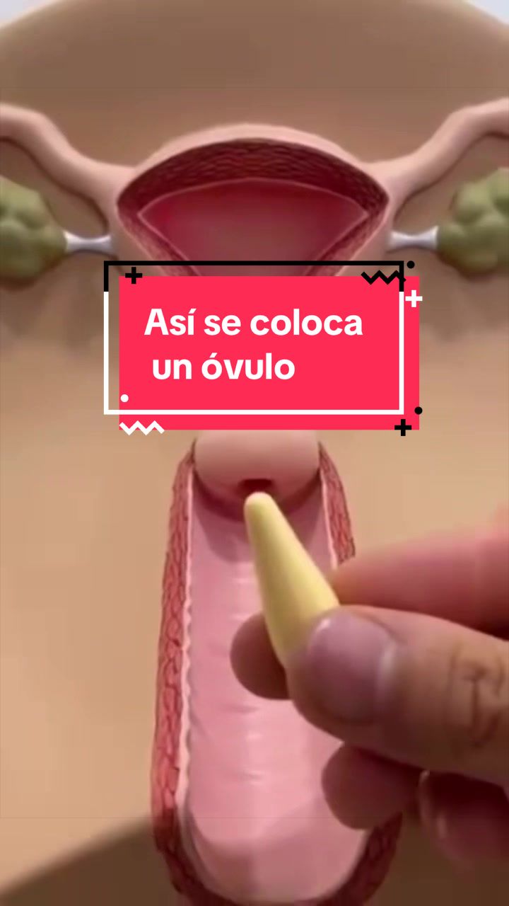@Dra. Ver&oacute;nica Reyes Ginec&oacute;loga