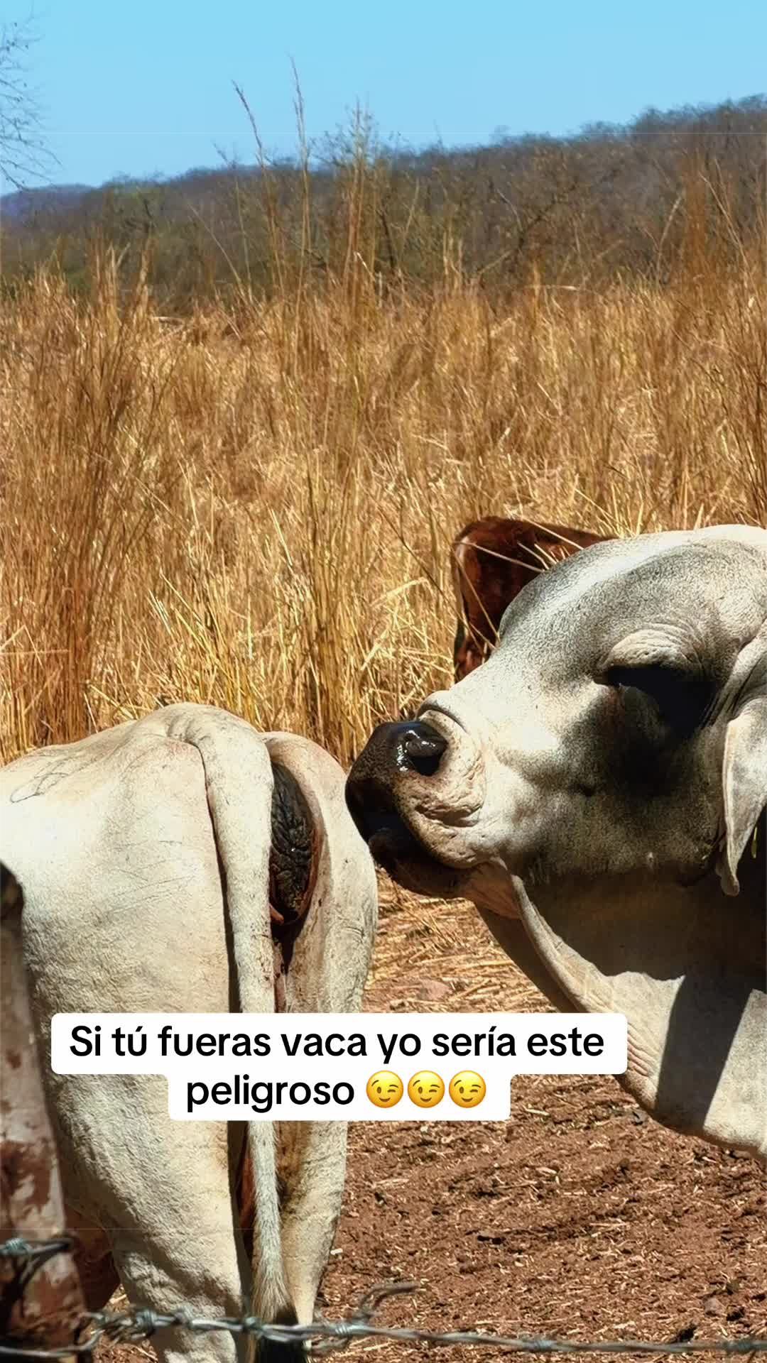 @Jr Robles
