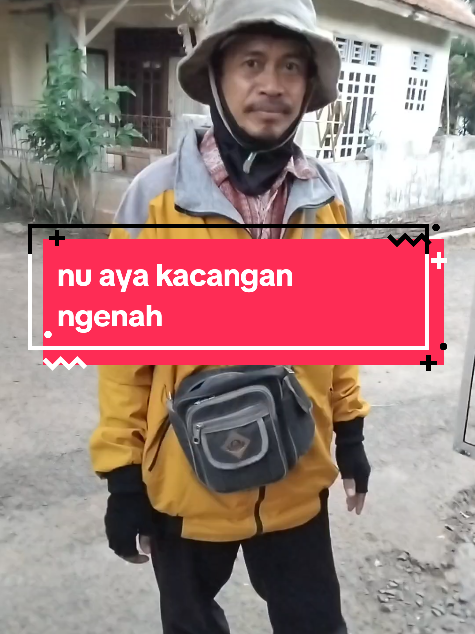 @Qy Domblang