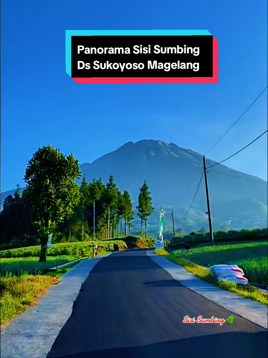 @SISI_SUMBING