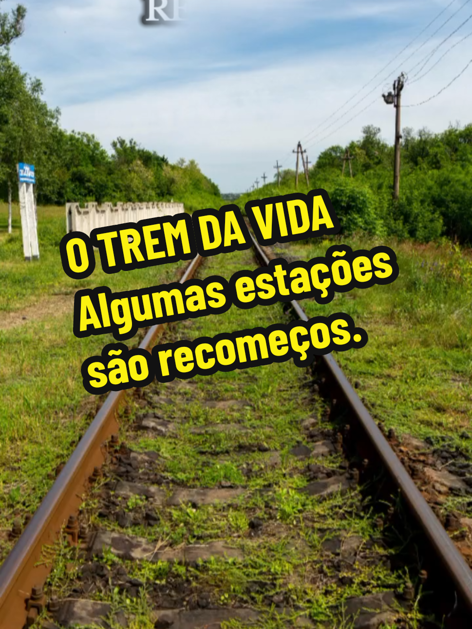 @Silvia Helena.