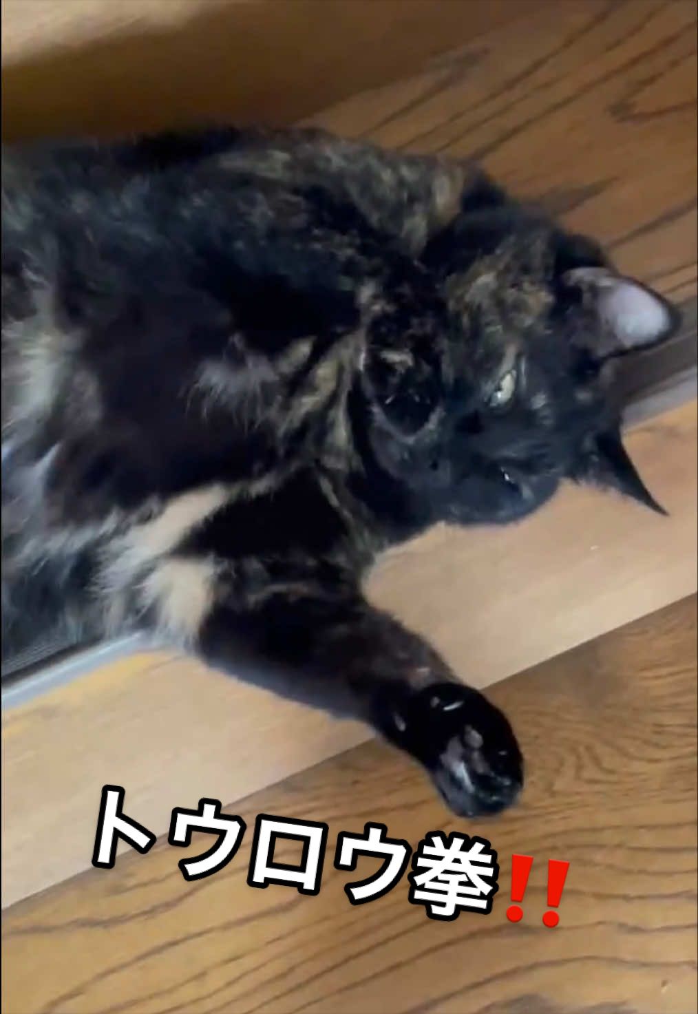 @聴々物語PROJECT