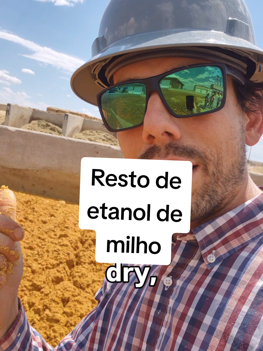 @Olavo Franco Bottino
