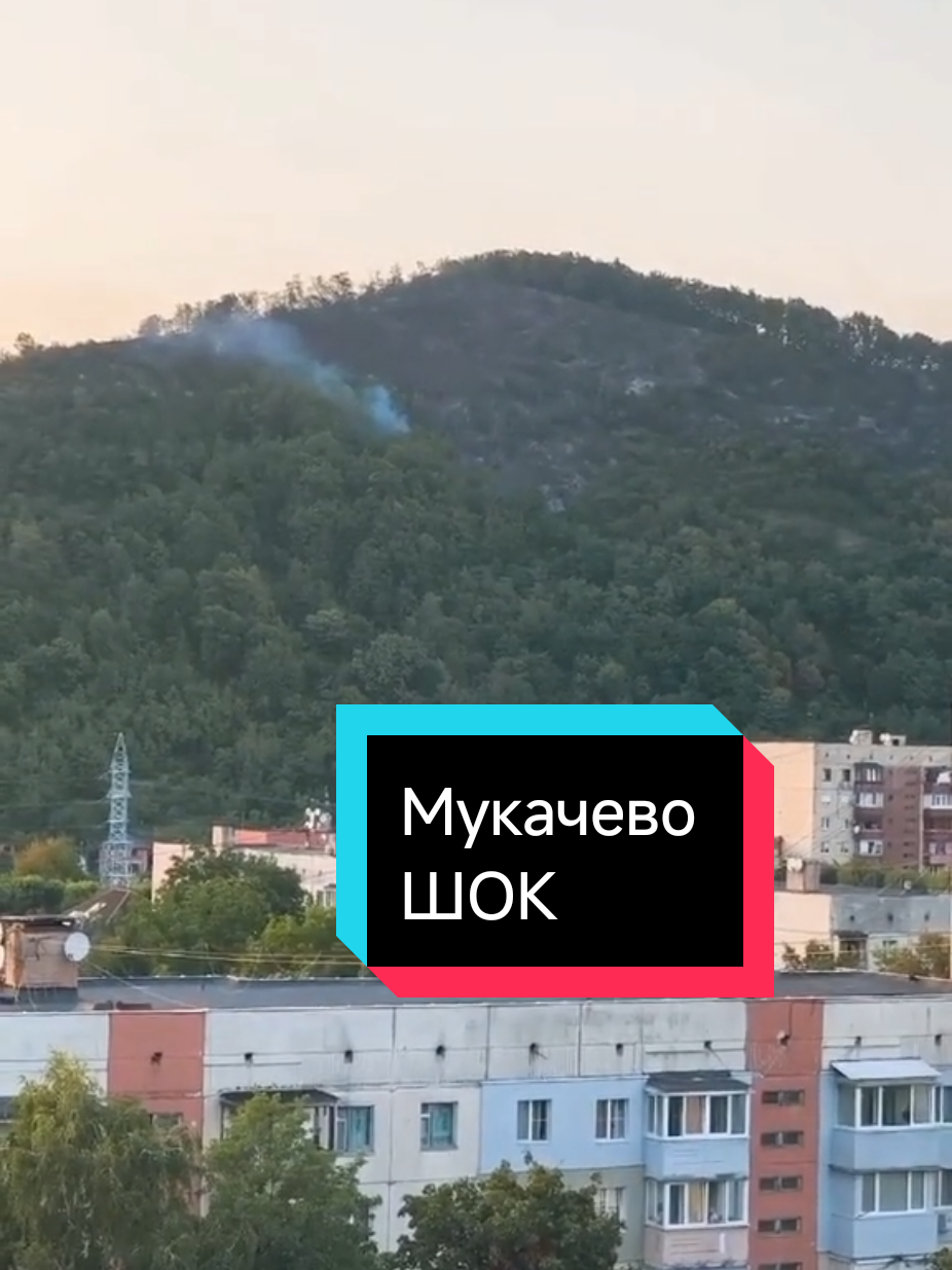 @Marinov_off