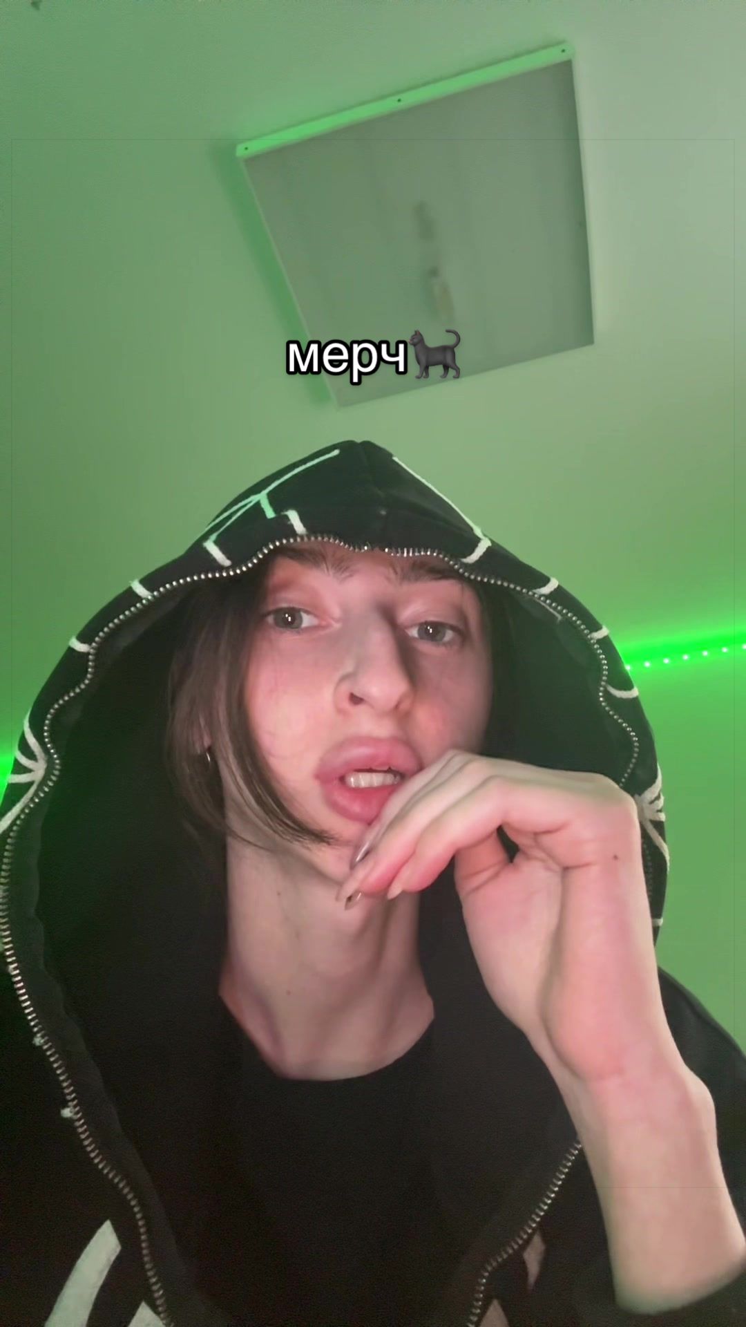 @леди настасья🐈⬛
