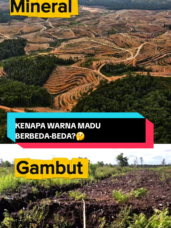 @maduclb🍯