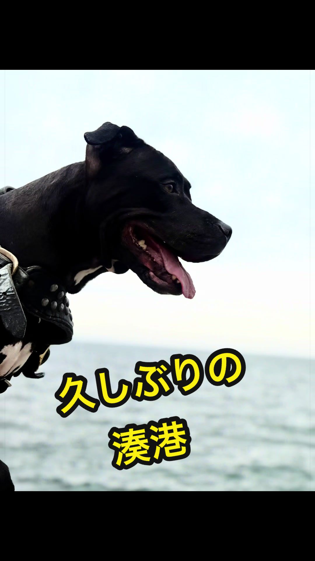 @✌︎·͜·(PᗜN)·͜· ︎︎ᰔᩚ