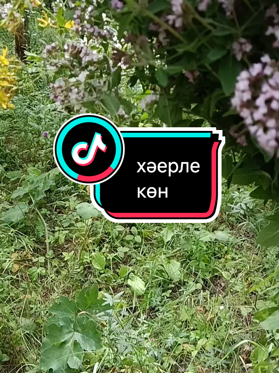 @💕☪татвидео открытки☪︎ 💕