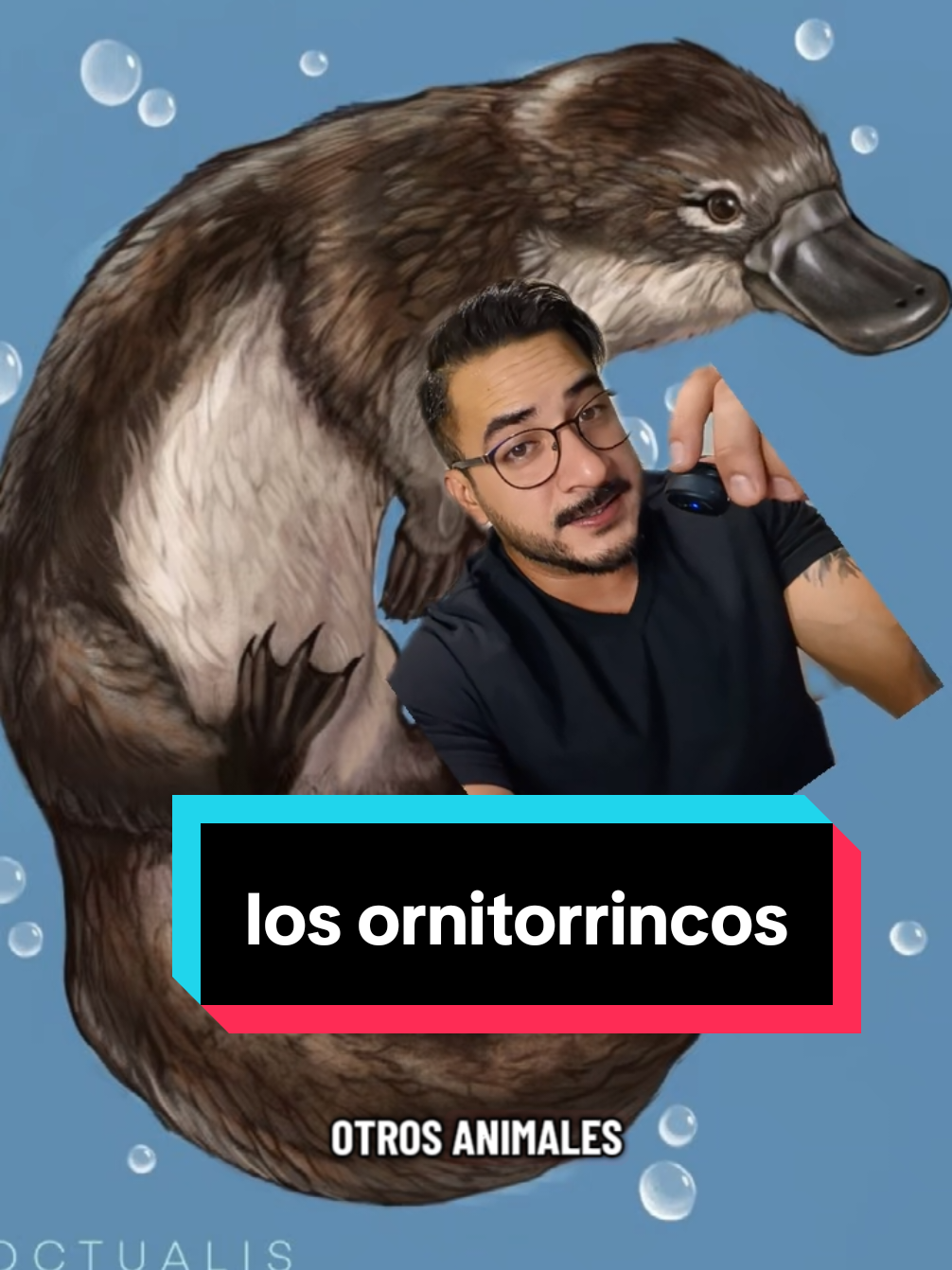 @nolosejose