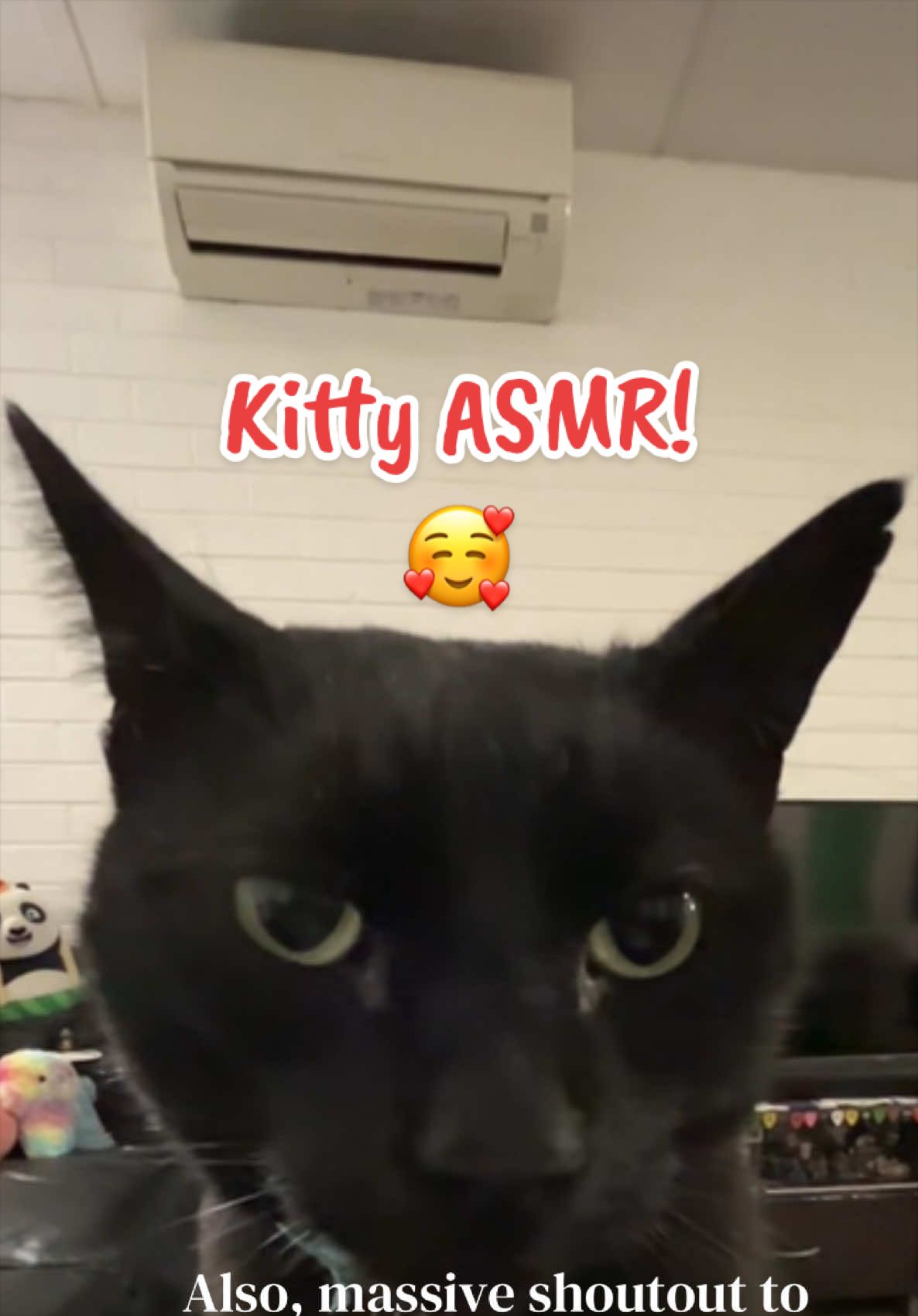 @Brianna 🐈&zwj;⬛ 🇵🇸 ☭