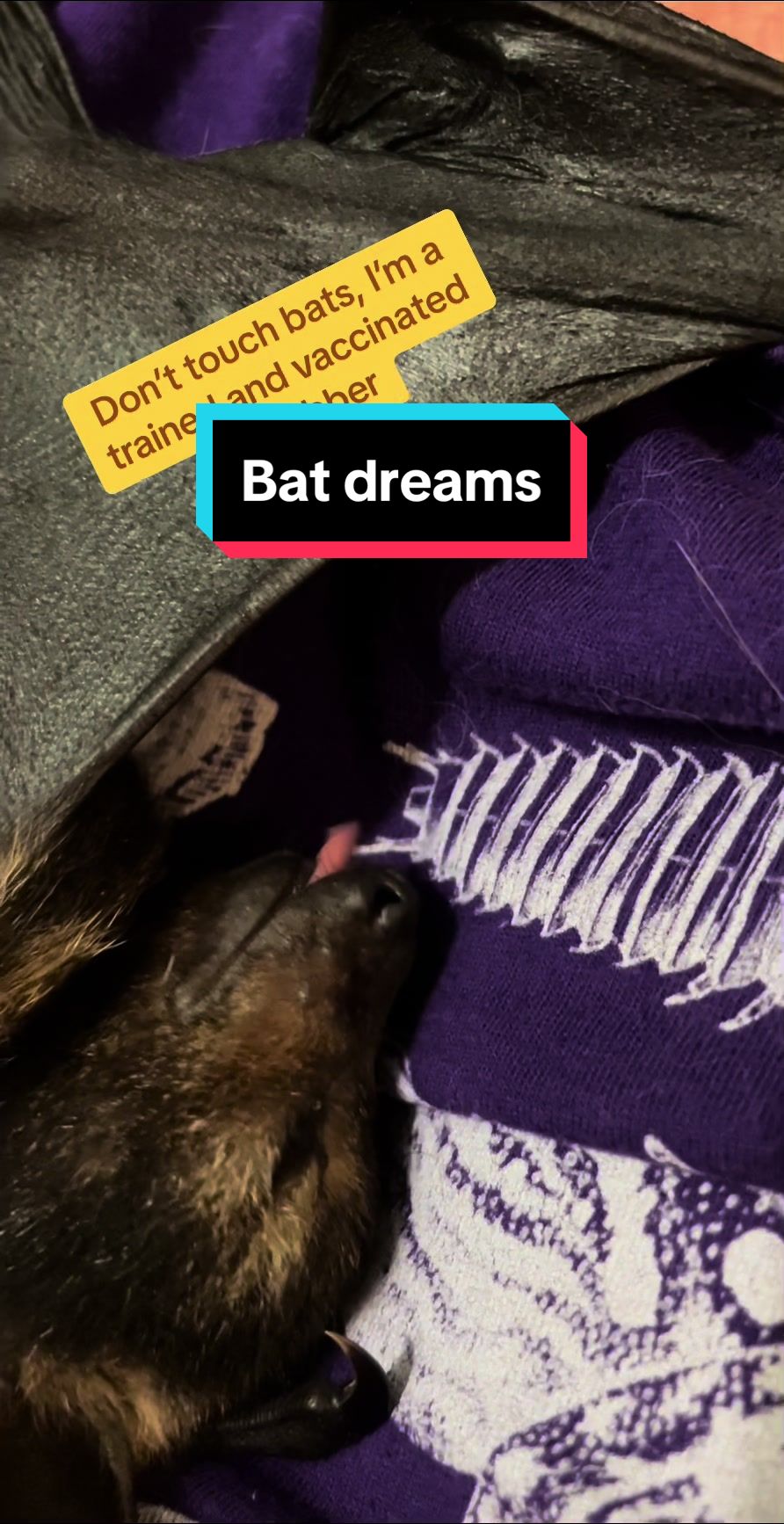 @🦇Jasmine 🦇