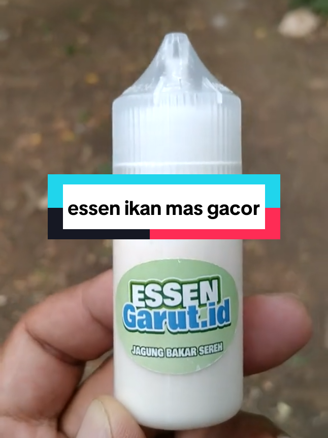 @Berkah FS