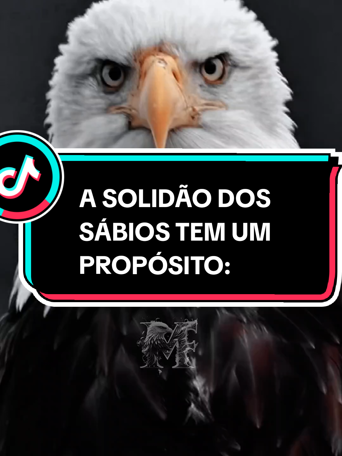 @Massa_FrasesOfc
