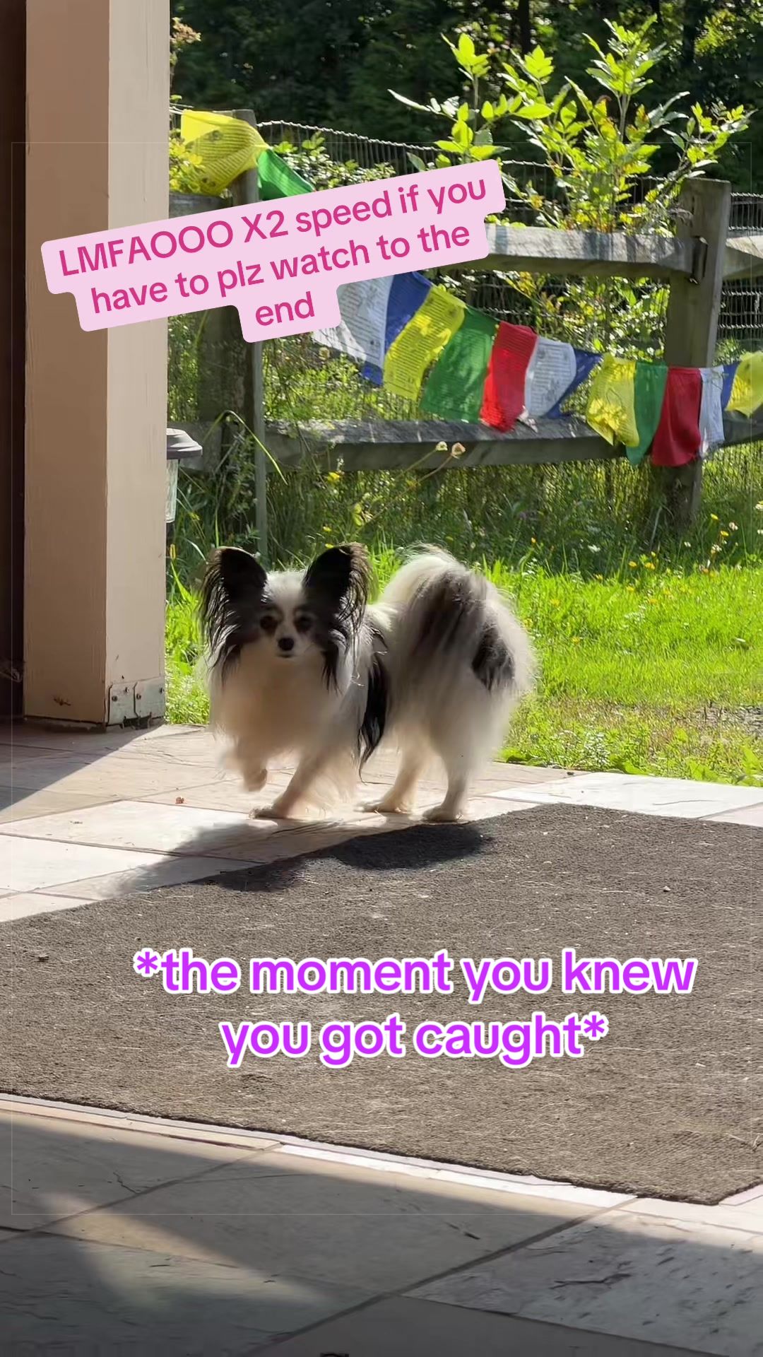 @kiki