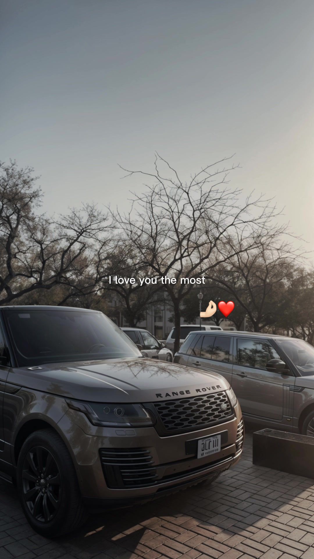 @Rover<3