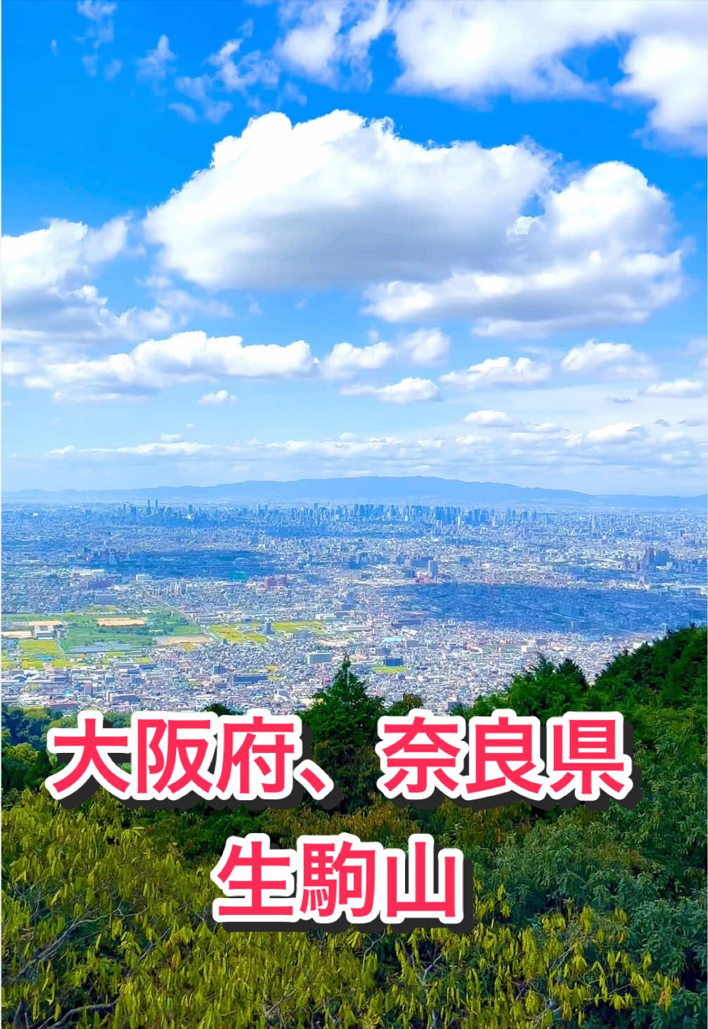 @音丸ぽん🇯🇵