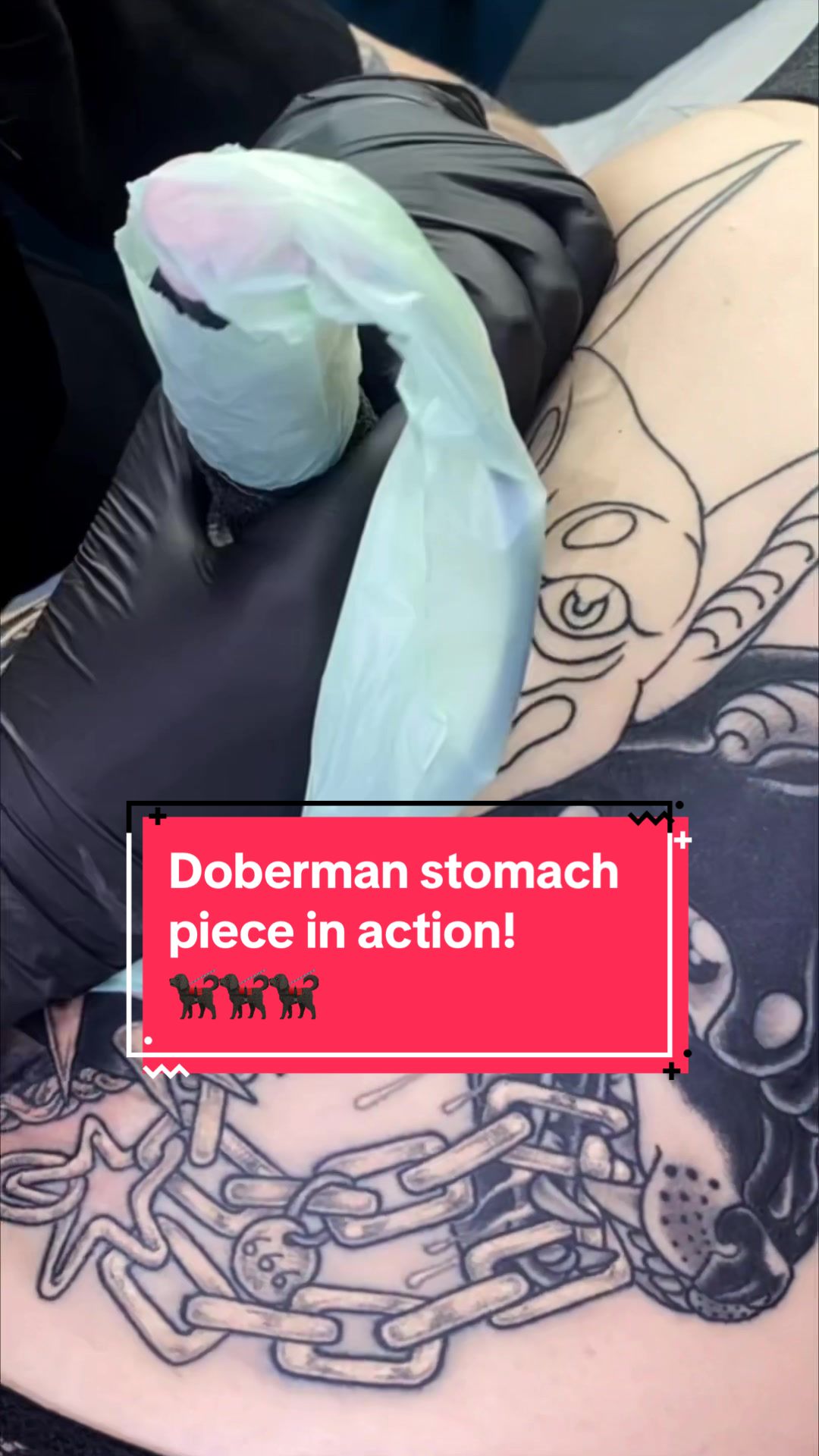 @monsteralphabet
