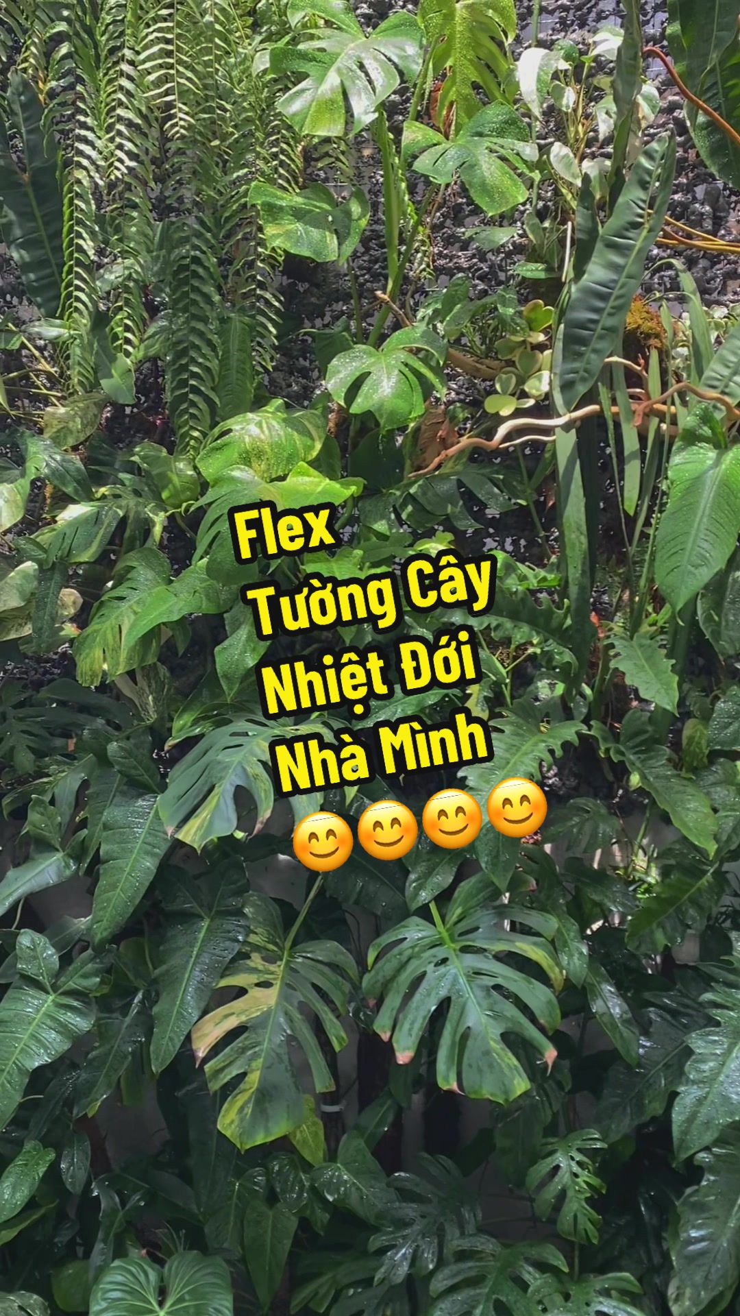@Hy&rsquo;s Garden