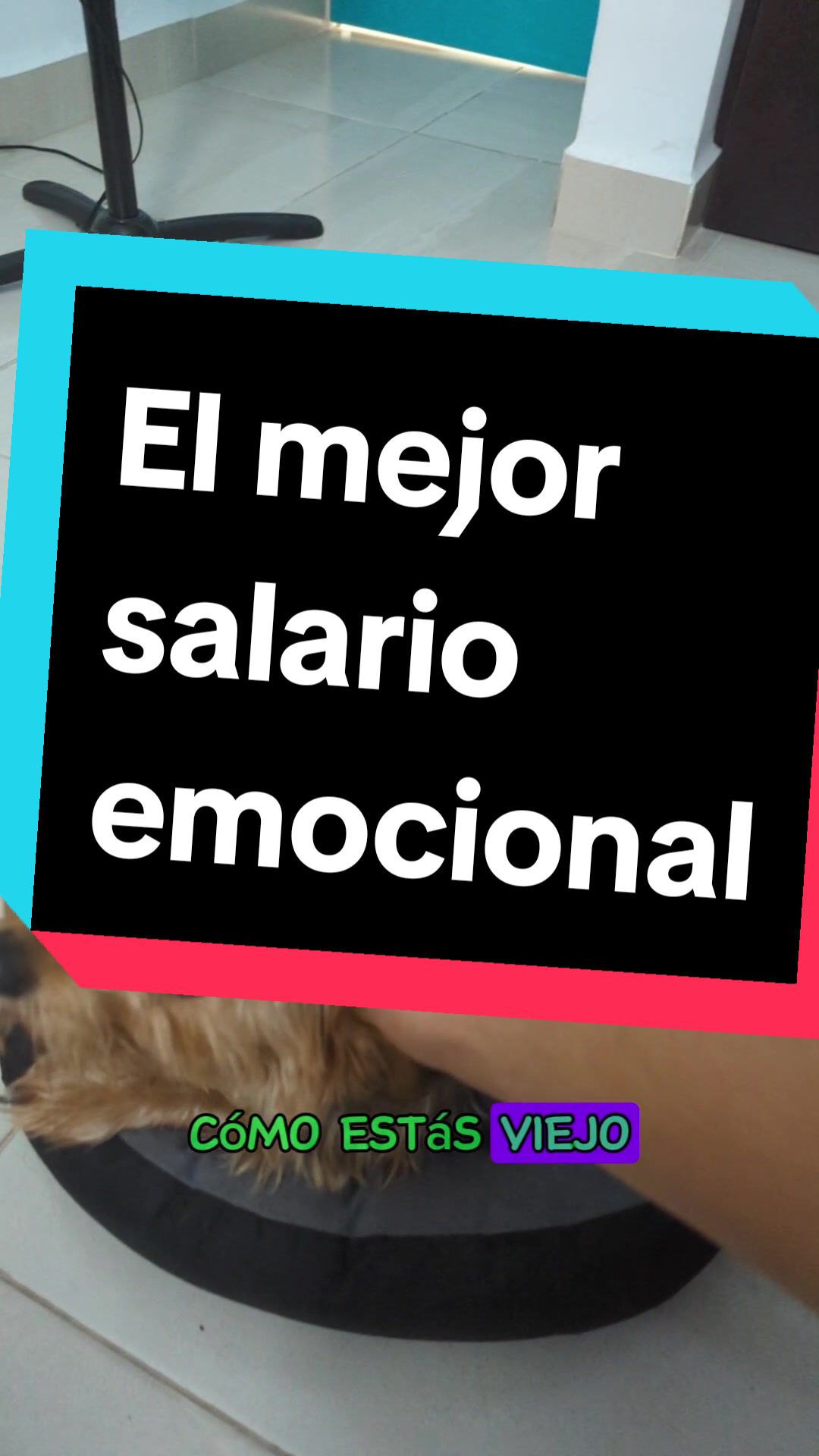 @Jesús Ramírez