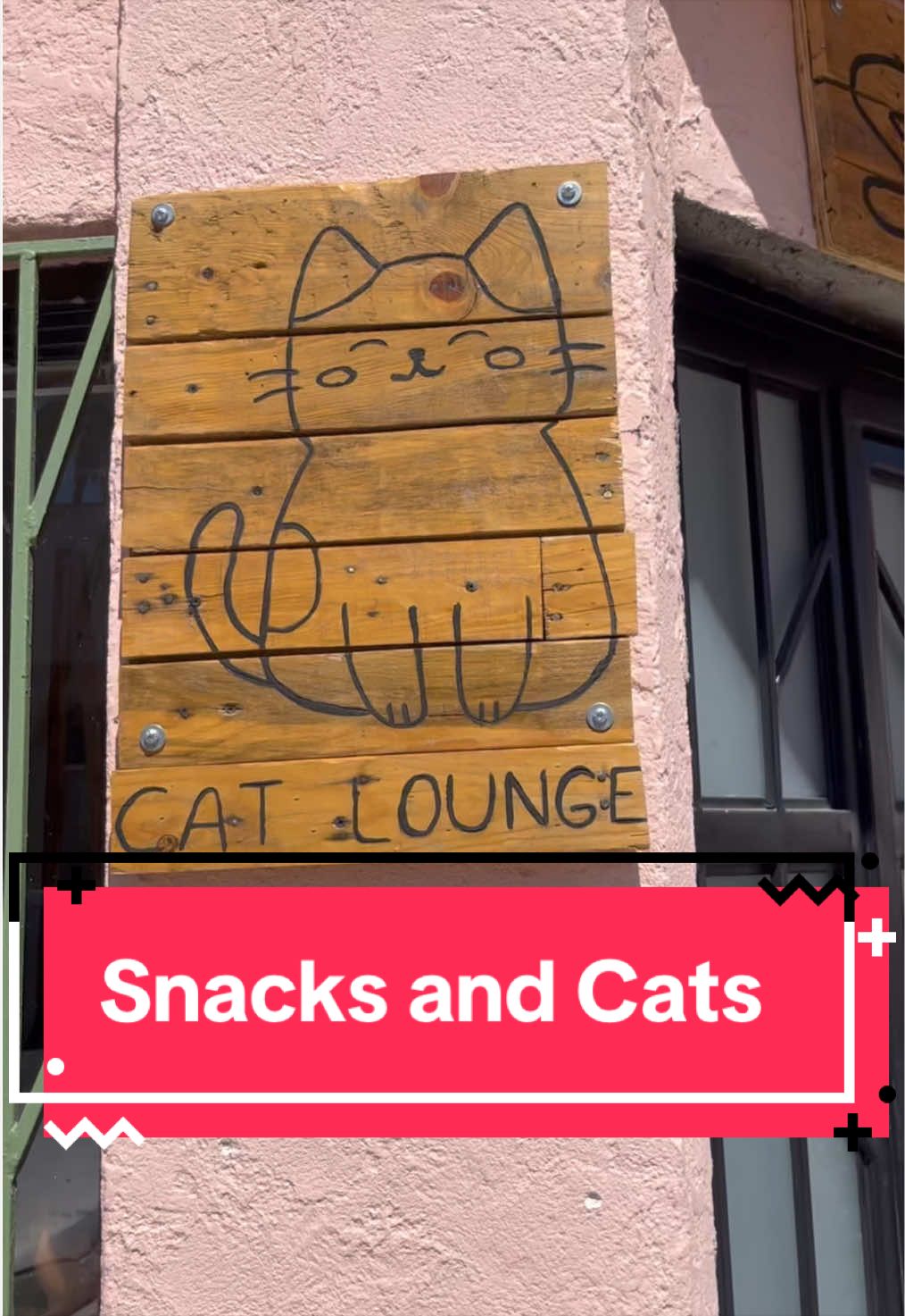 @Cosas de mis gatos 🐱