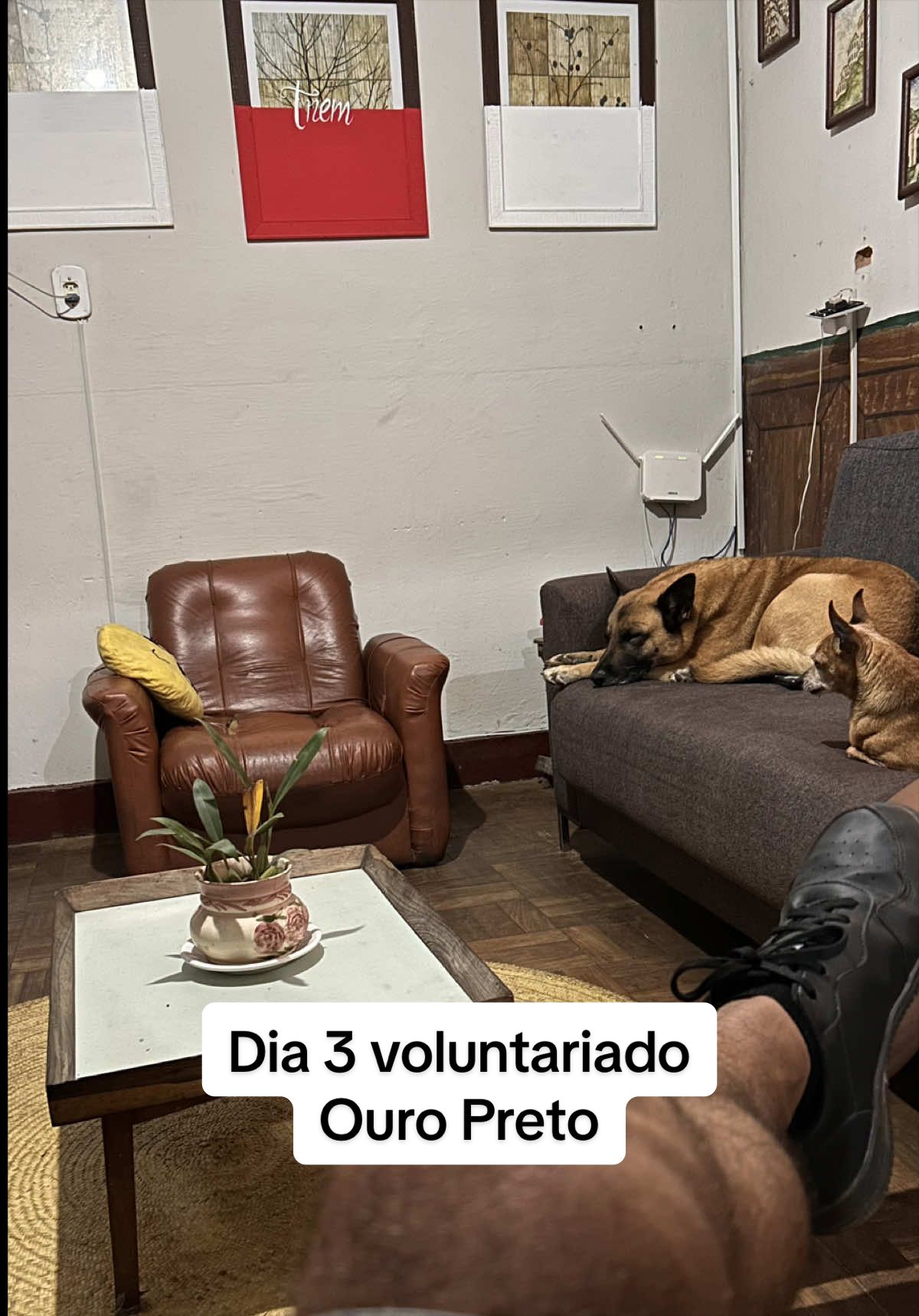 @Hugo Fernando Silva