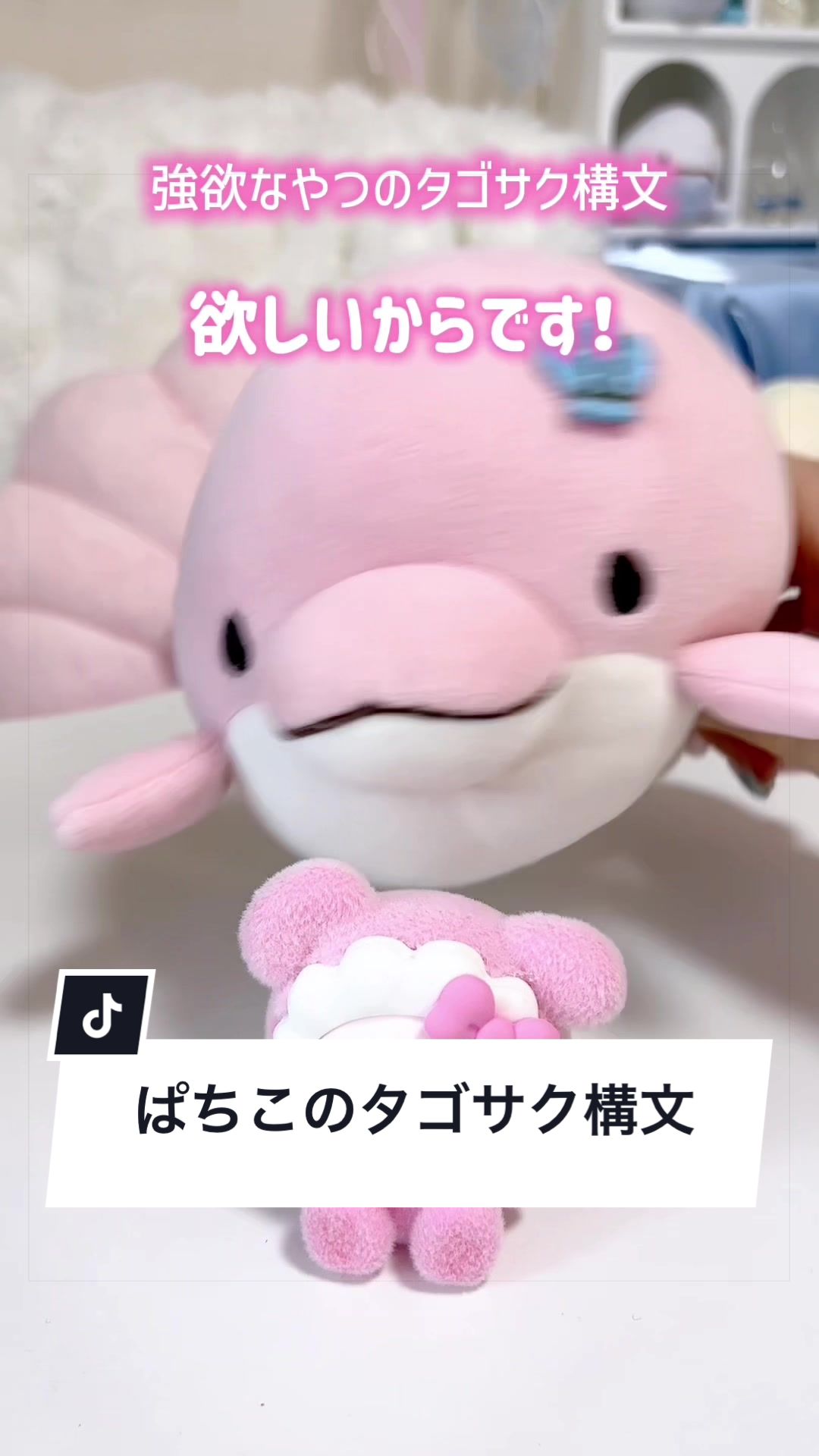 @みいるか🐬🎨