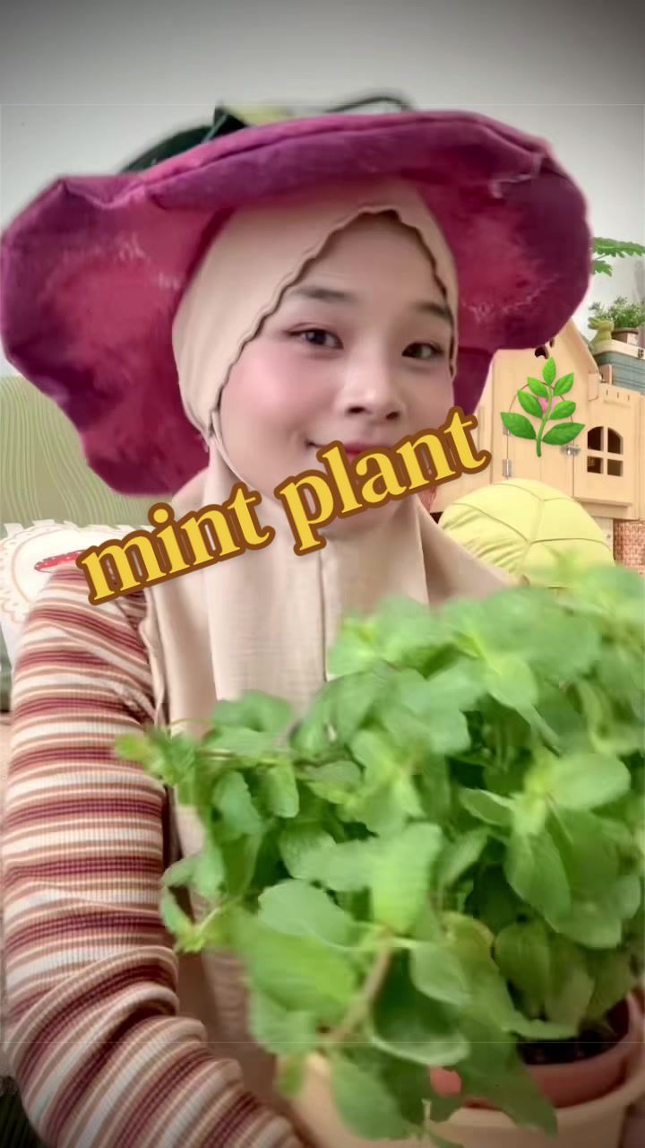 @🍄Gadis Fantasi 𓍊.ೃ࿔*🐞