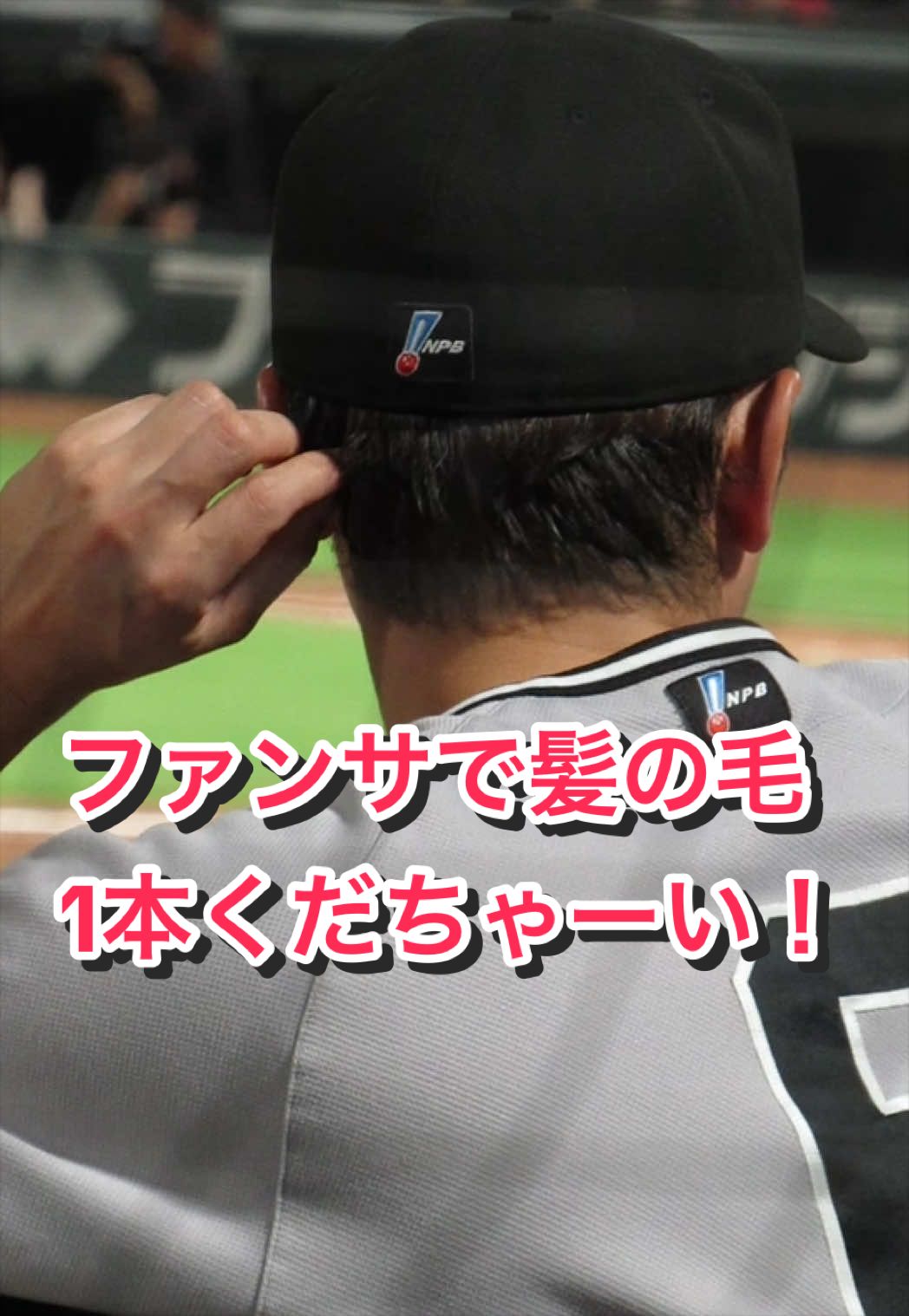 @ヘパリーゼ🫀