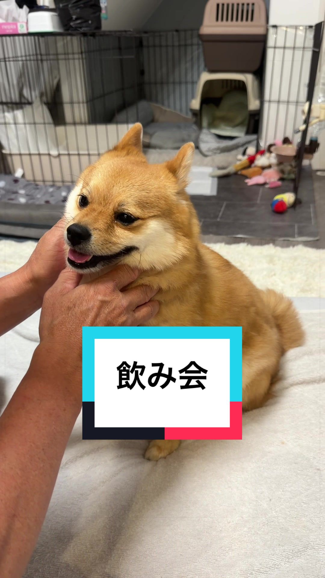 @🐶とん&ぺっぺこぺー🦊
