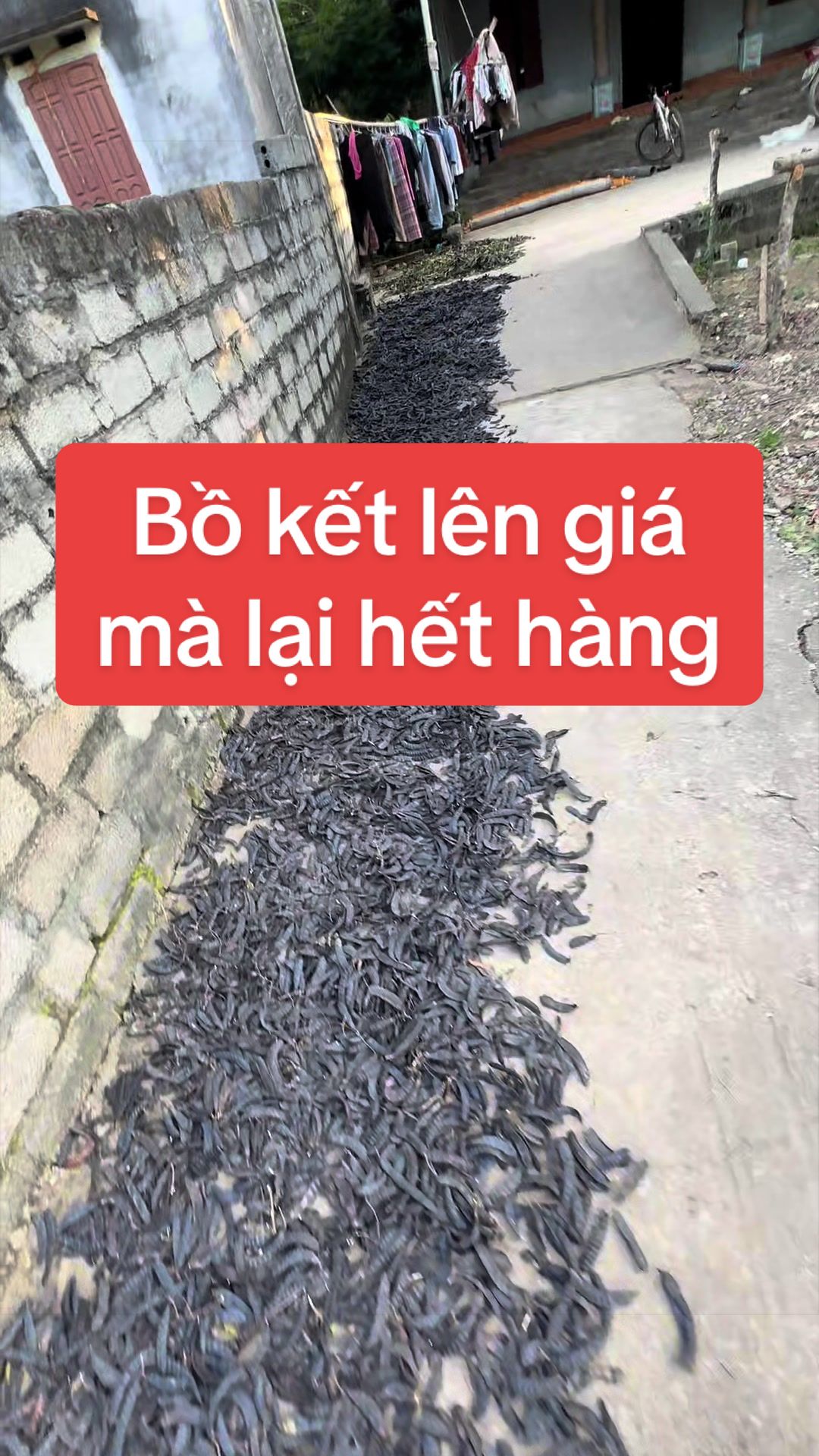 @Nhà Vườn Vũ Mai