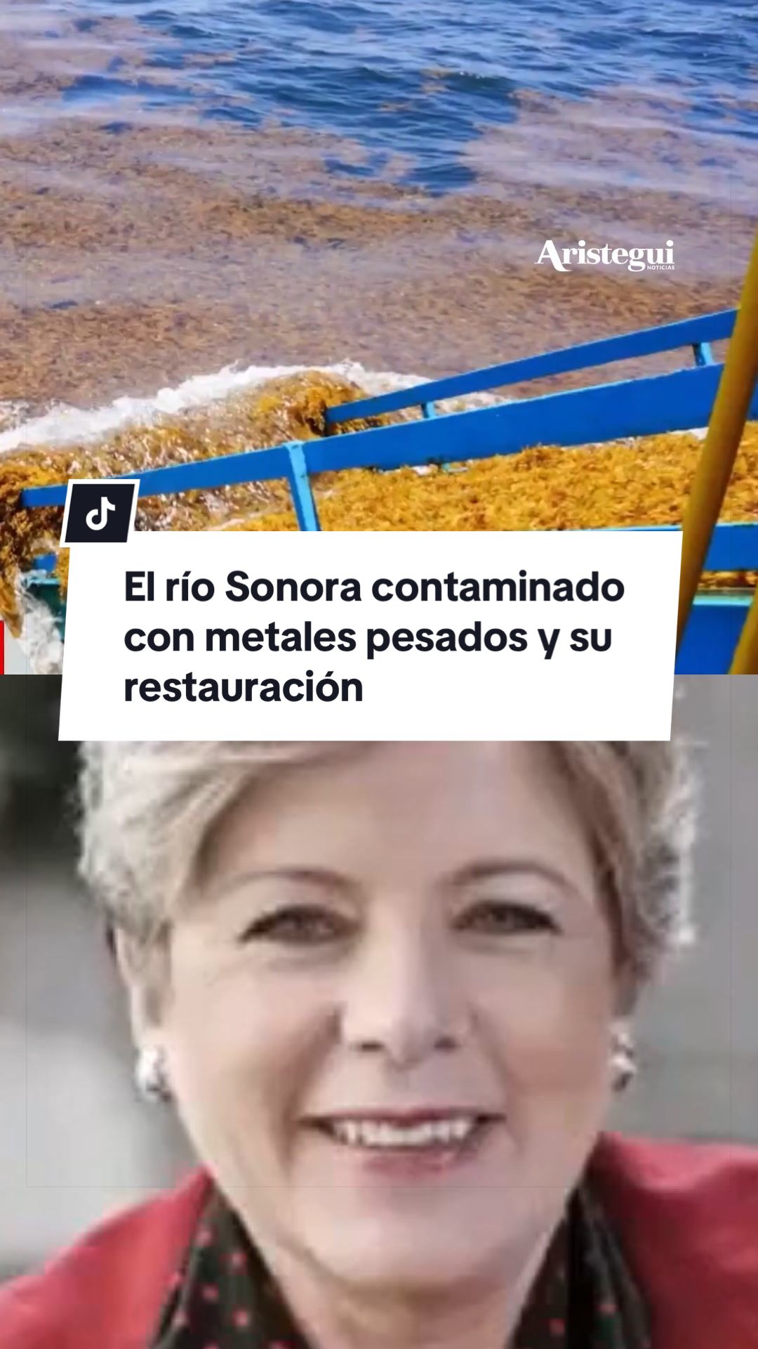 @Aristegui Noticias