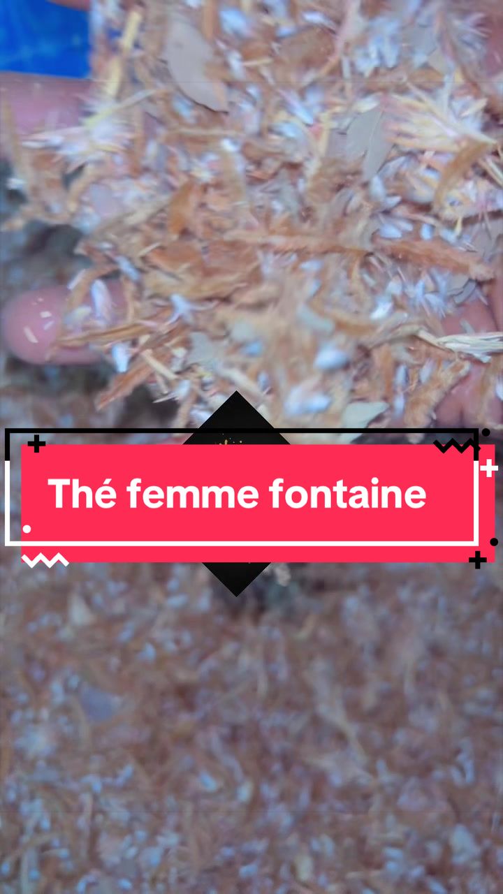 @La Plume blanche
