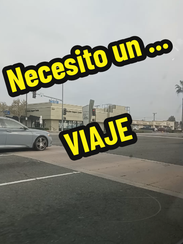 @Gaby Love (gaviota)