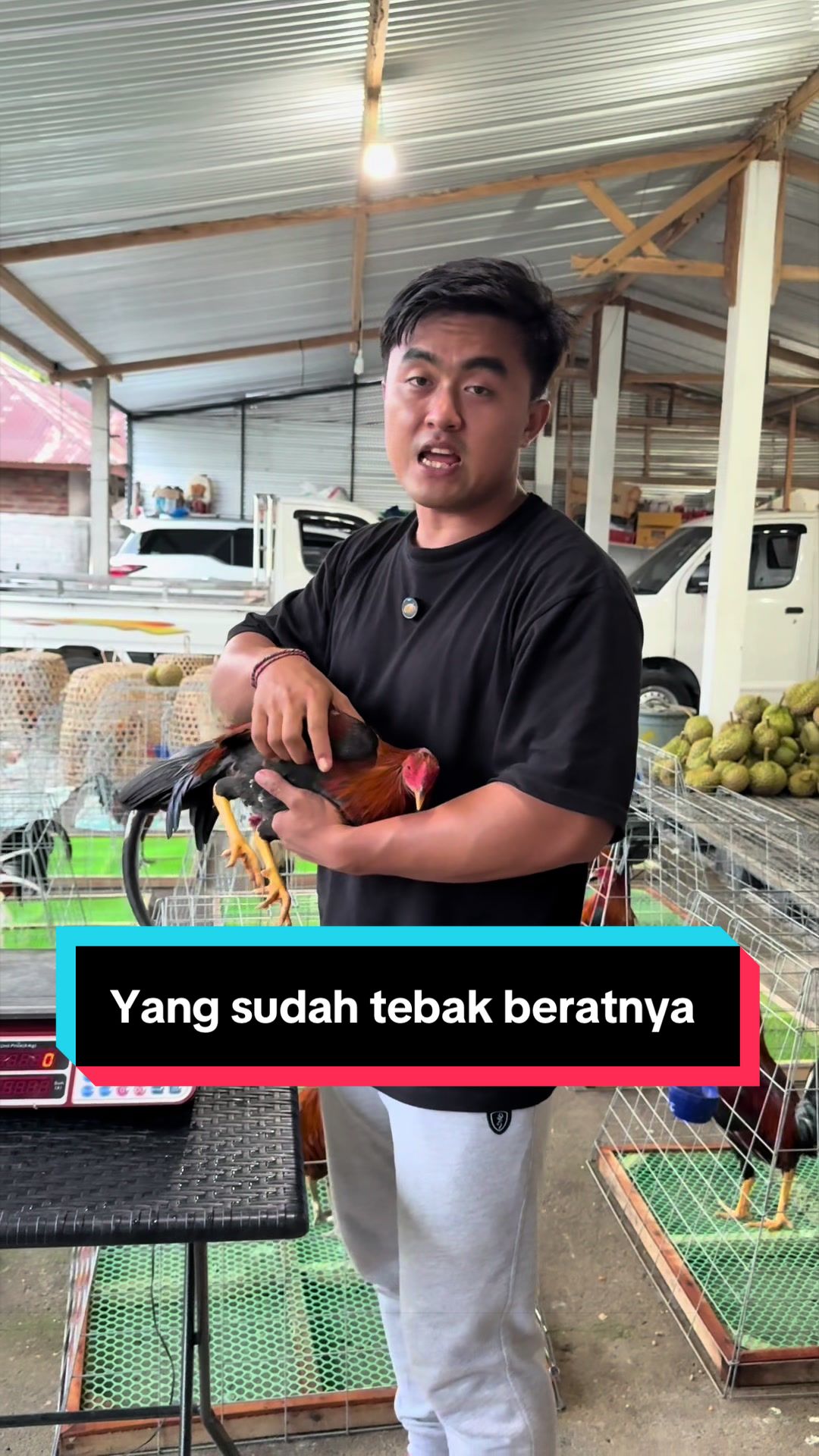 @Doni artawan
