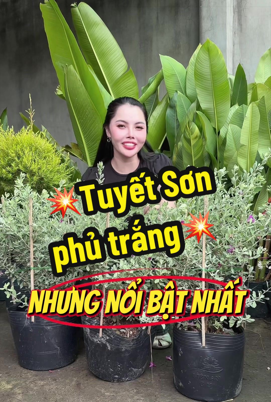 @Tiệm Lá Nhỏ