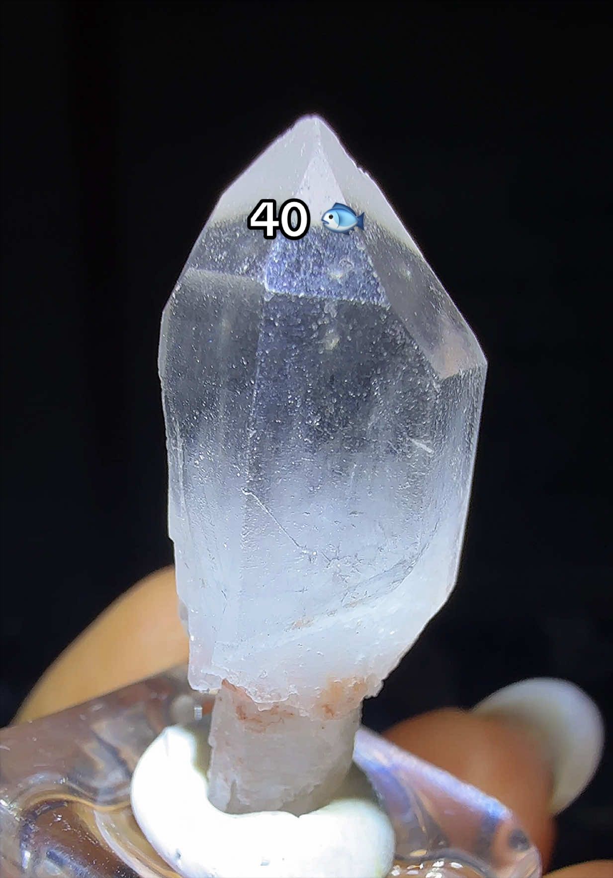 @Halen Crystal