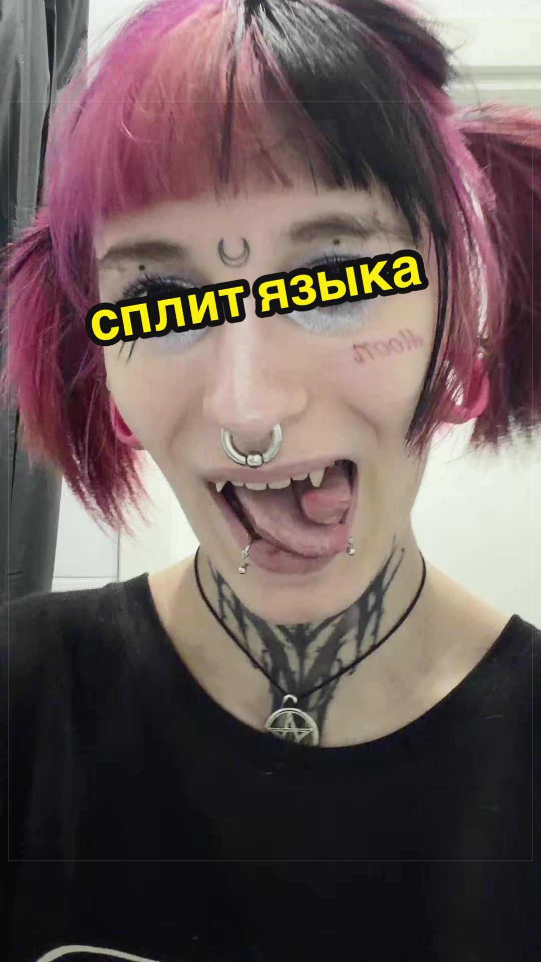 @meowmeow