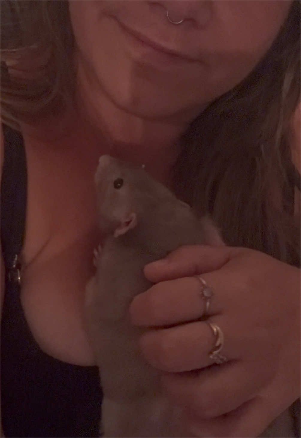 @Liloobi's Mischief