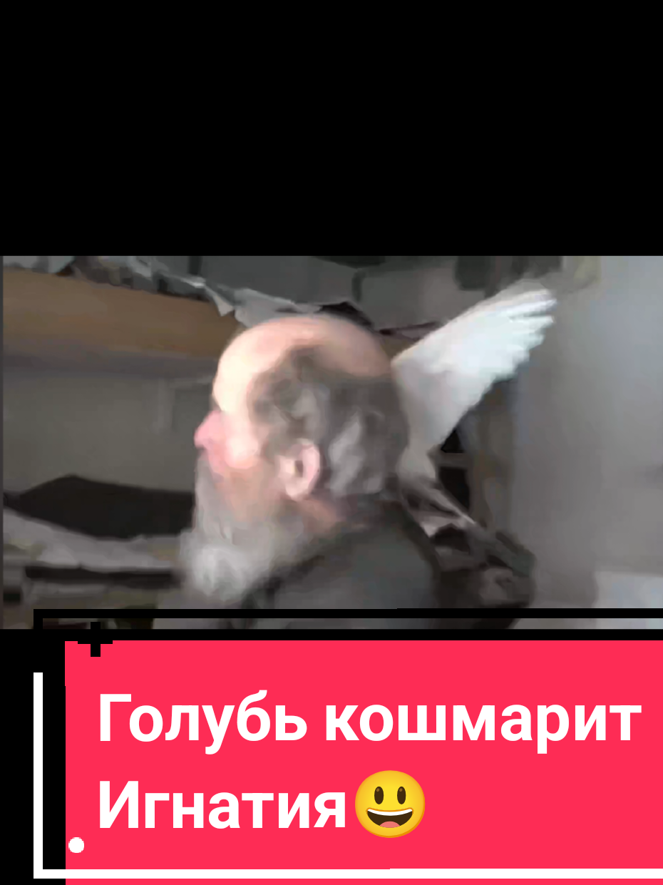 @Во Свете Мудрости