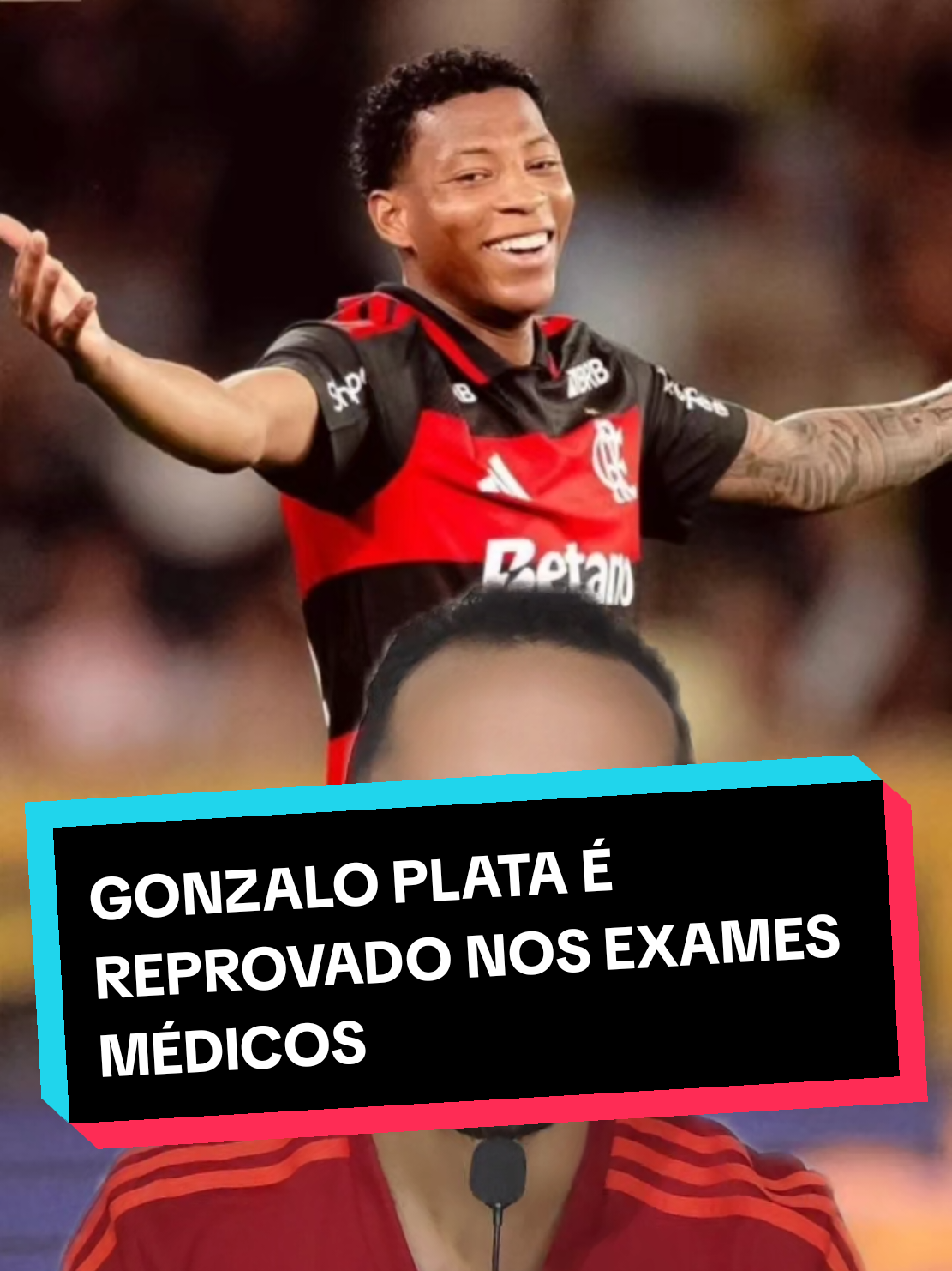@analistaleigo